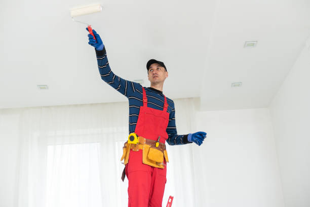 Best Drywall Sanding and Smoothing  in Kenilworth, NJ